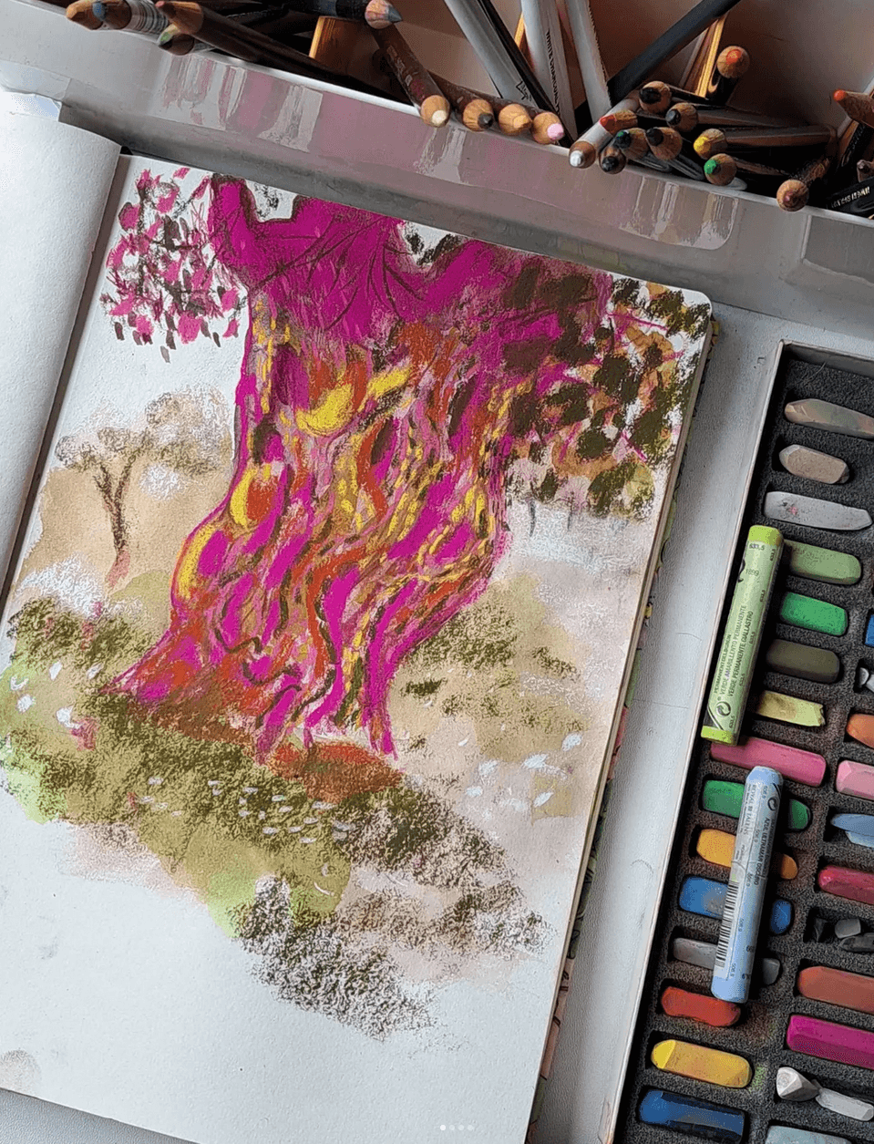 Colourful Olive Tree