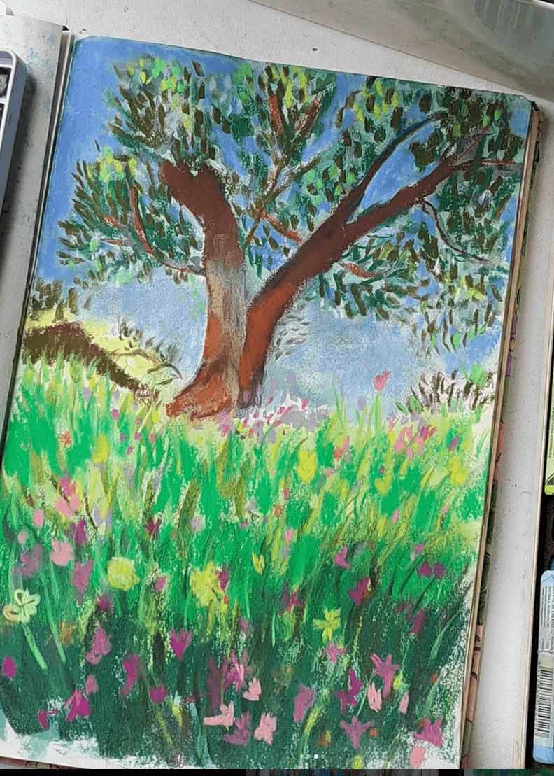 Olive Tree